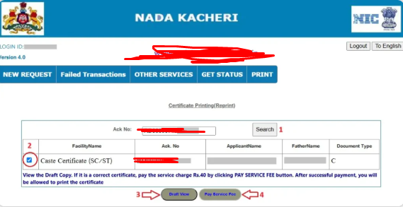 Verify and Preview